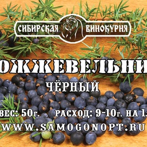 Можжевельник черный